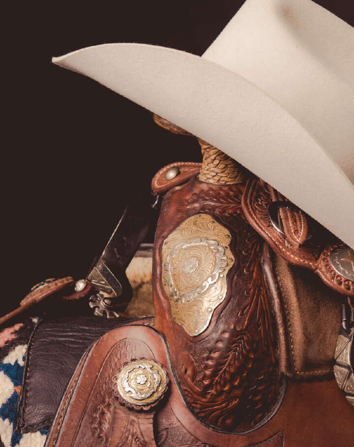 western hoeveler supplemente premium pferdefutter pferdepflege highlightbanner western hoeveler supplemente premium pferdefutter pferdepflege highlightbanner